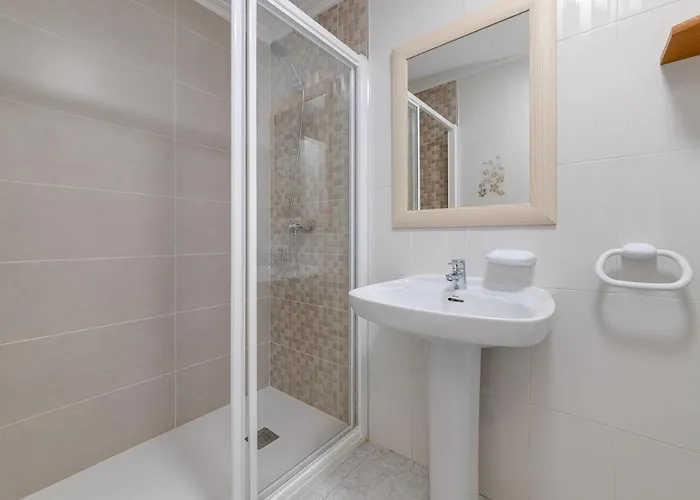 Galera 托雷维耶哈